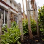 Schapenhek in natuurlijke voortuin